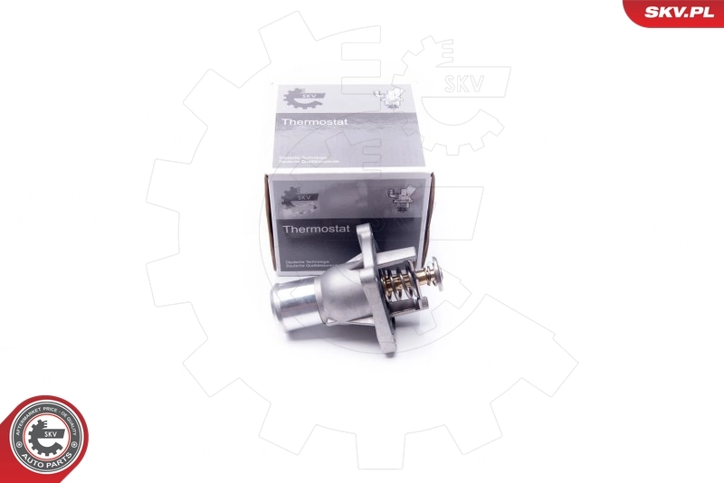 Thermostat, coolant